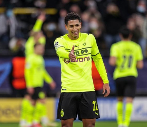 专注于自己 专注于自己